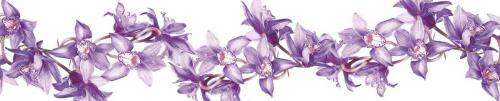цветы  2205 фиолет